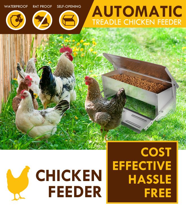 Aluminium Auto Chook Poultry Chicken Food Feeder Treadle Self