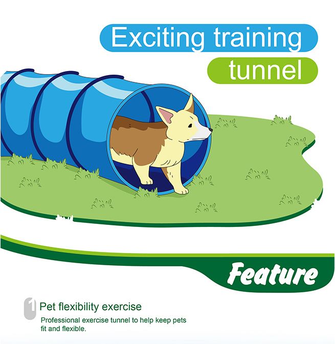 5.5M Portable Pet Dog Agility Training Exercise Tunnel Chute with Carry Bag