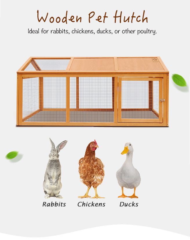 Petscene Wooden Chicken Rabbit Hutch Cage Outdoor Enclosures