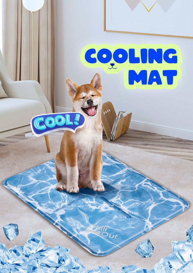 AFP L Size Pet Dog Puppy Cat Cooling Gel Cool Mat Pad for Crate Bed Sofa Kennel