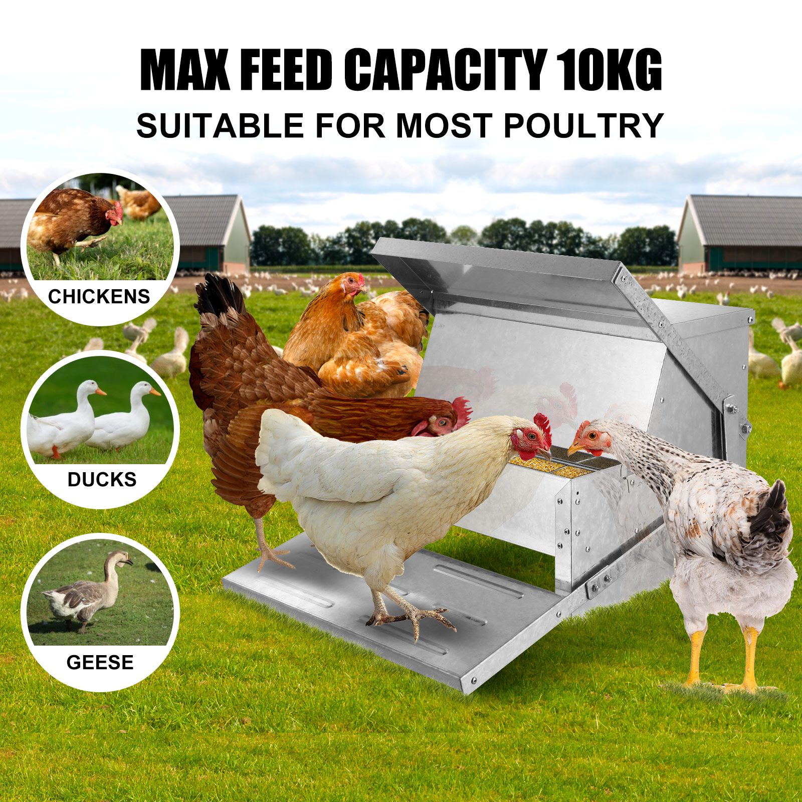 10L Auto Chicken Feeder Automatic Poultry Chook Food Feeding Treadle Spillproof Galvanized Steel Self Opening